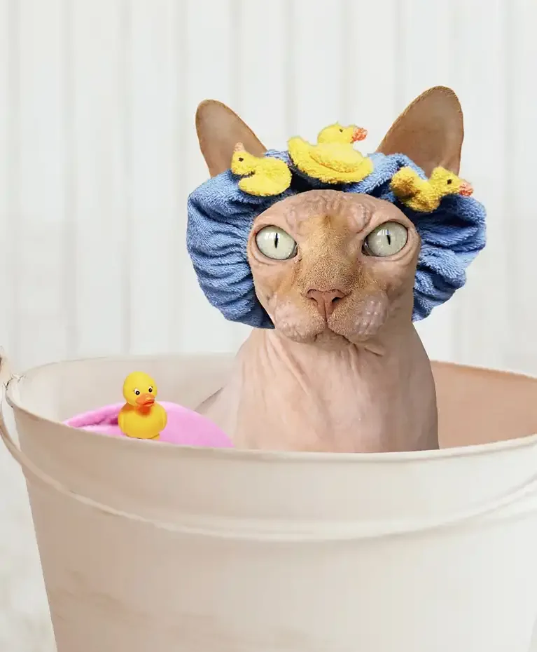 Pet Grooming Fourways